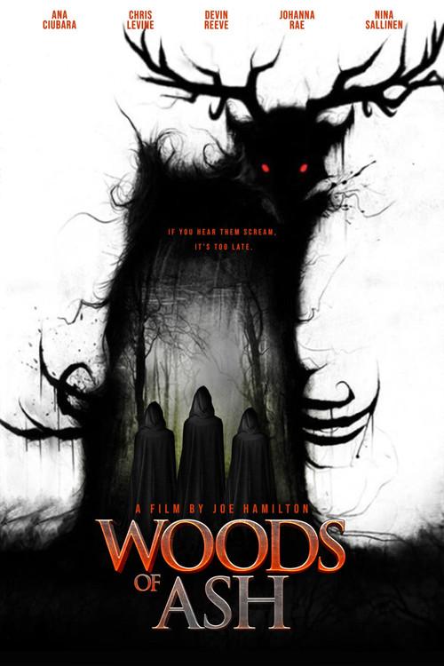 Woods of Ash 2025 official movie poster