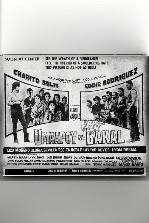 Umaapoy na Bakal 1962 official movie poster