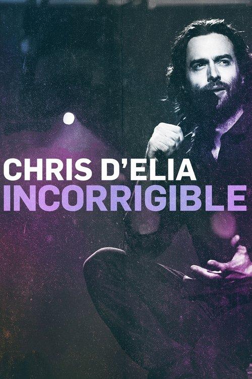 Chris D'Elia: Incorrigible 2015 official movie poster