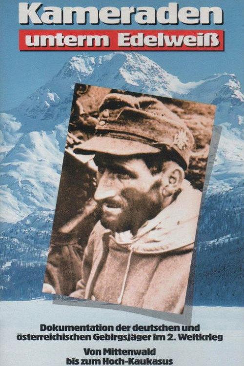 Comrades under Edelweiss 1943 official movie poster