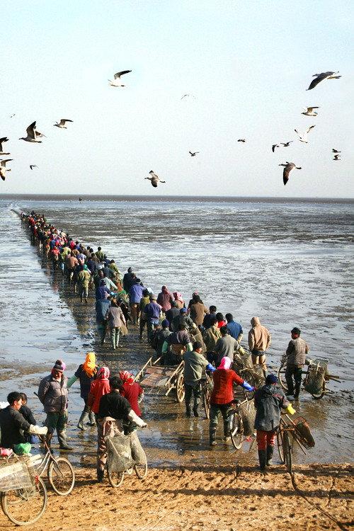 9-Kilometer Road in the Sea 2003 official movie poster