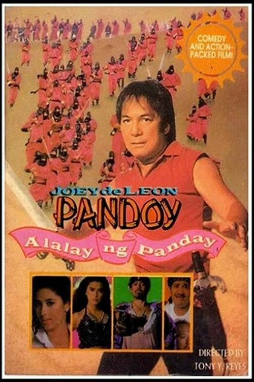 Pandoy: Alalay ng Panday 1993 official movie poster