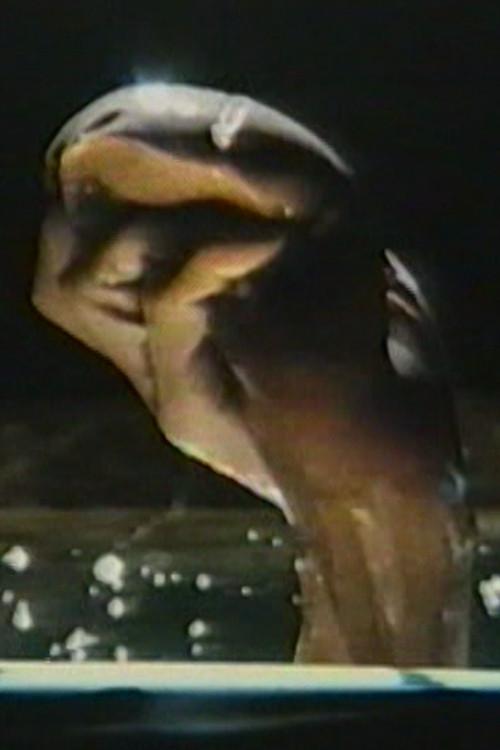 Morphology 1983 official movie poster