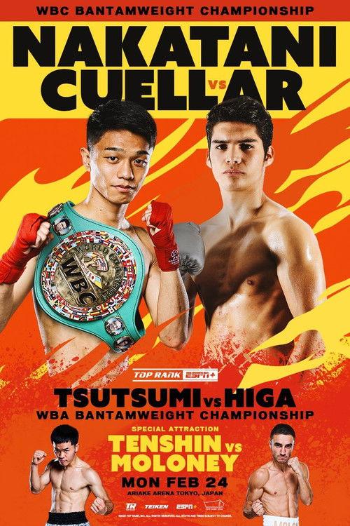 PRIME VIDEO BOXING 11 2025 official movie poster
