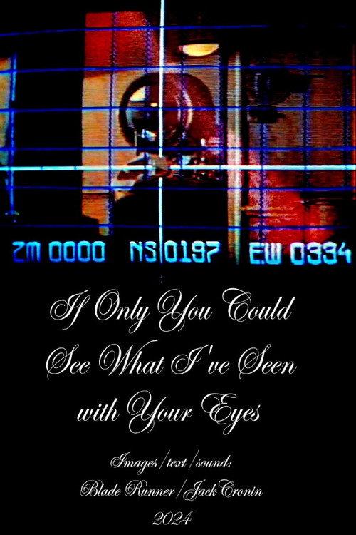 If Only You Could See What I’ve Seen With Your Eyes 2024 official movie poster