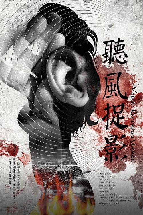 Voice Reconnaissance 2016 official movie poster