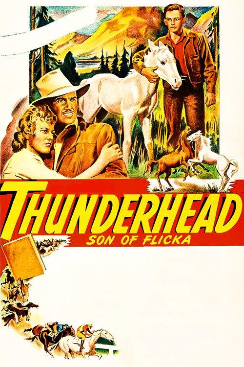 Thunderhead: Son of Flicka 1945 official movie poster