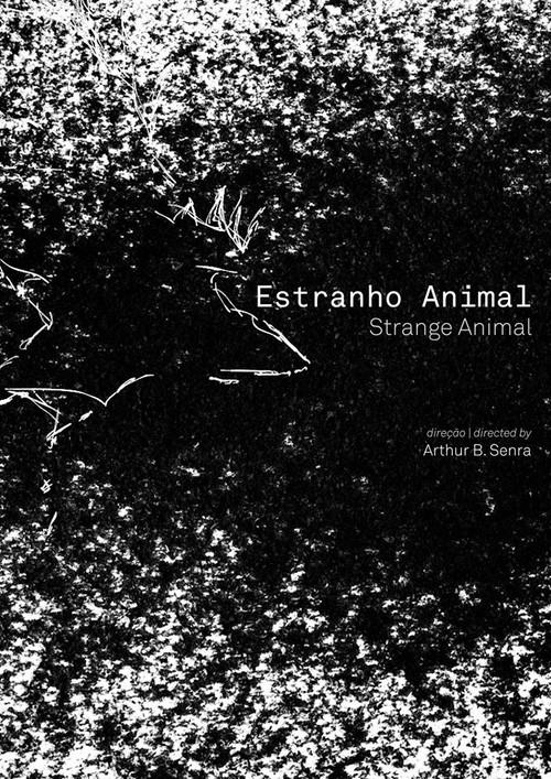 Estranho Animal 2019 official movie poster