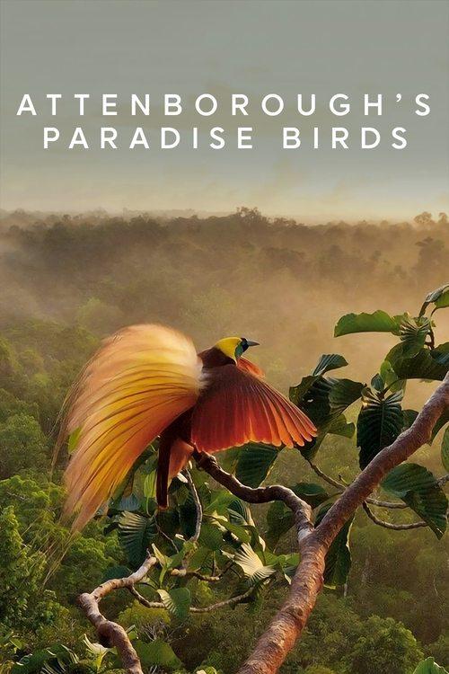 Attenborough's Paradise Birds 2015 official movie poster