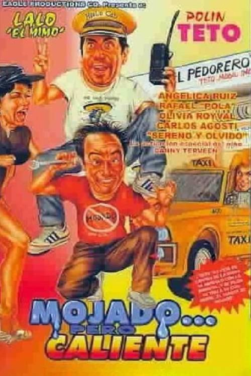 Mojado... pero caliente 1989 official movie poster