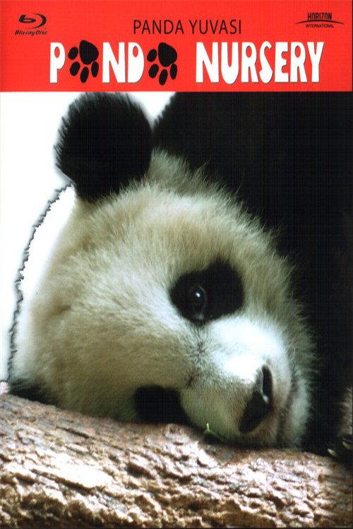 Panda Nursery 2005 official movie poster