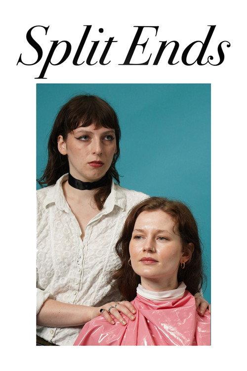 Split Ends 2024 official movie poster