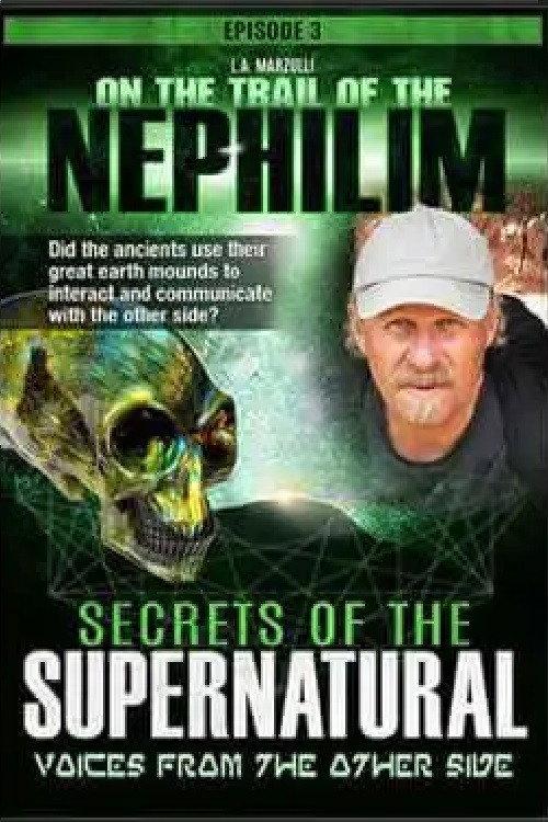 On the Trail of the Nephilim: Episode 3 - Secrets of the Supernatural 2019 official movie poster