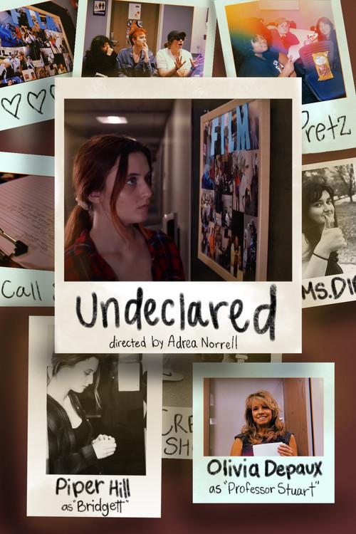 Undeclared 2023 official movie poster
