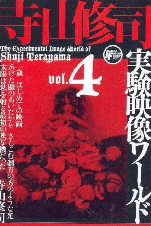Catalog of Memory 1977 official movie poster