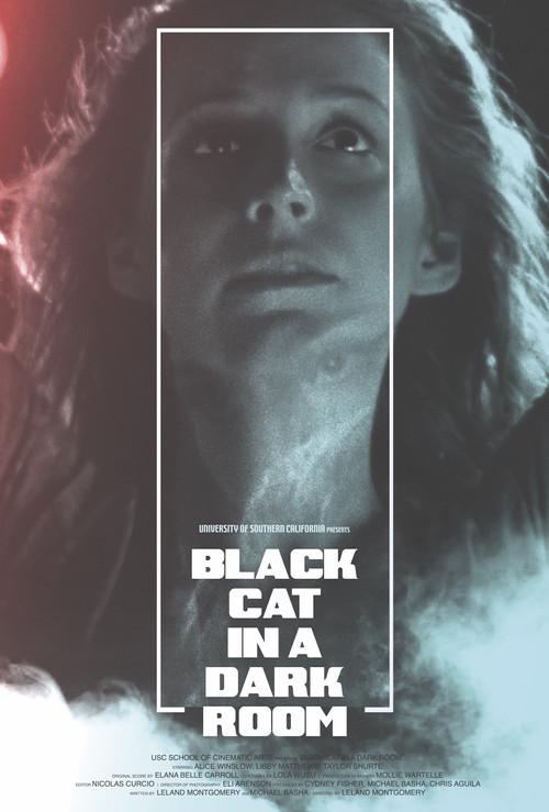 Black Cat in a Dark Room 2019 official movie poster