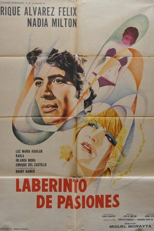 Labyrinth of Passion 1975 official movie poster