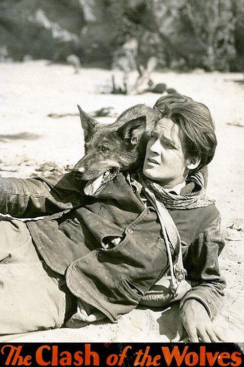 Clash of the Wolves 1925 official movie poster