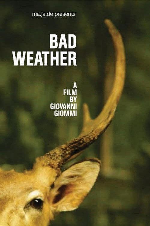 Bad Weather 2011 official movie poster
