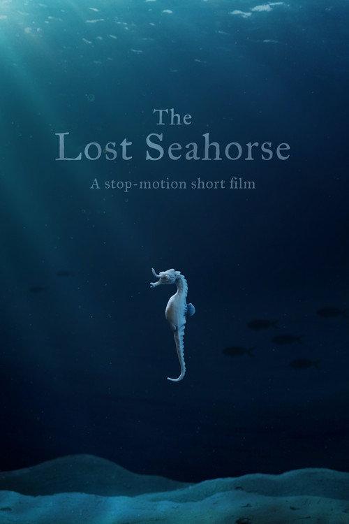 The Lost Seahorse 2021 official movie poster