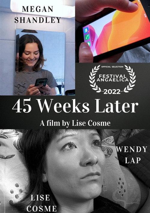 45 Weeks Later 2022 official movie poster