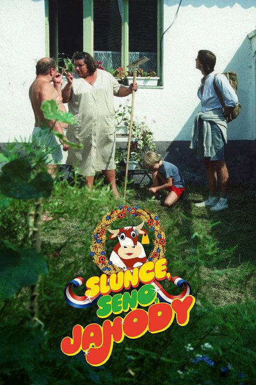 Sun, Hay, Berries 1984 official movie poster