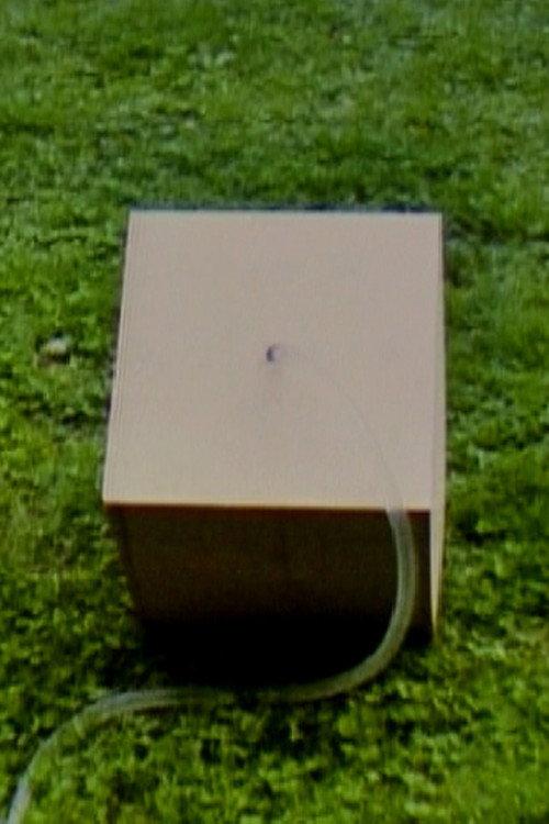 Box 2 1979 official movie poster