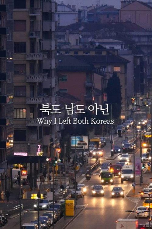 Why I Left Both Koreas 2017 official movie poster