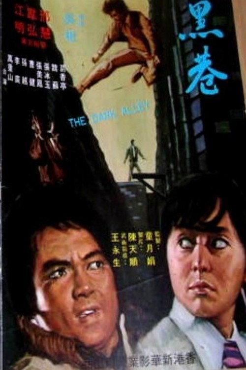 The Dark Alley 1972 official movie poster