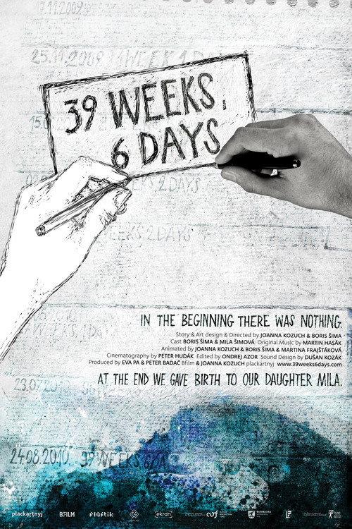 39 Weeks, 6 Days 2017 official movie poster