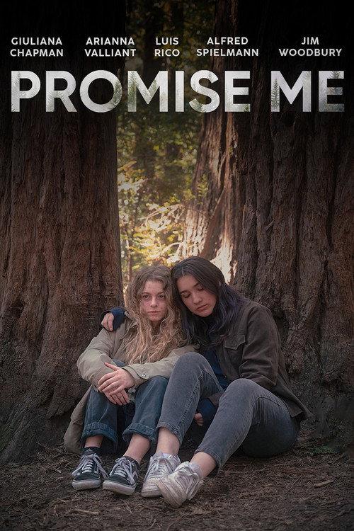 Promise Me 2023 official movie poster