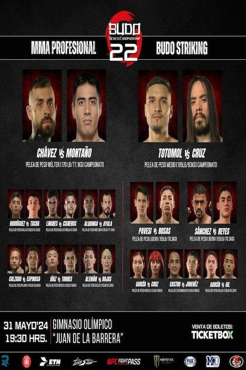 Budo Sento Championship 22 2024 official movie poster
