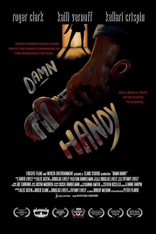 Damn Handy 2025 official movie poster