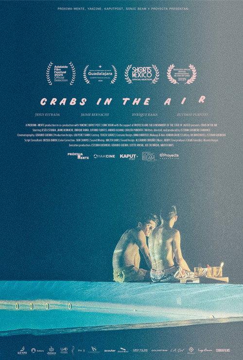 Crabs in the Air 2025 official movie poster