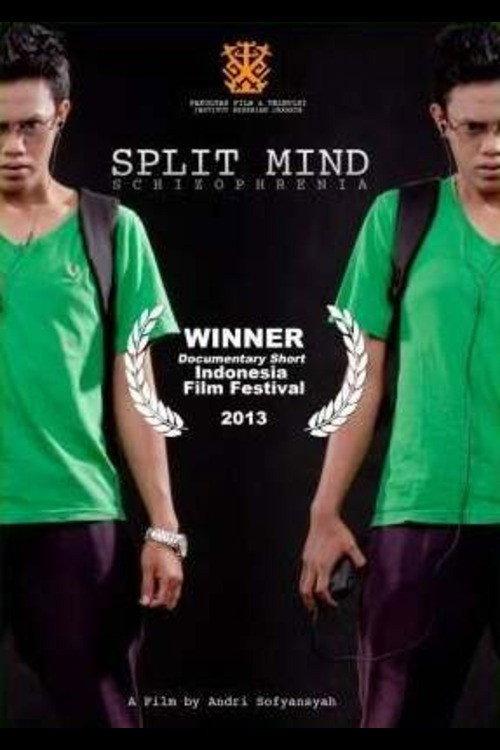 Split Mind 2013 official movie poster