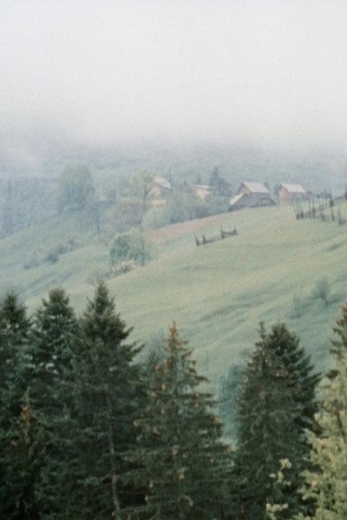 I See You, Bukovina 1992 official movie poster