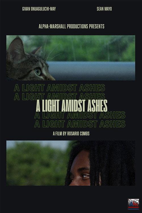 A Light Amidst Ashes 2025 official movie poster