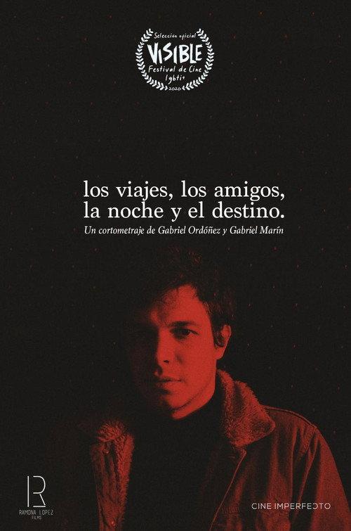 Trips, Friends, Night & Destiny 2021 official movie poster