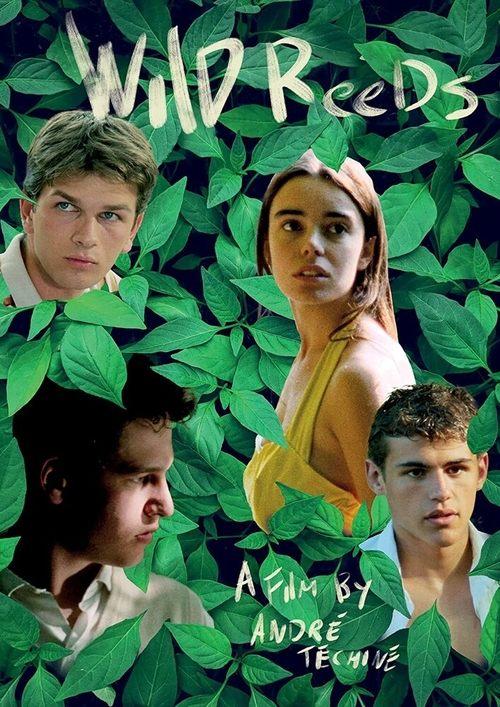 Wild Reeds 1994 official movie poster