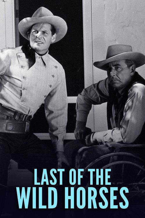 Last of the Wild Horses 1948 official movie poster