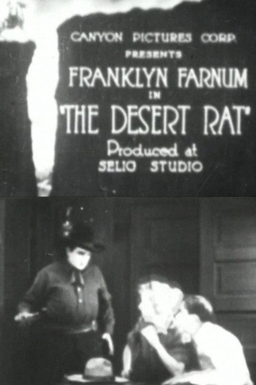 The Desert Rat 1919 official movie poster