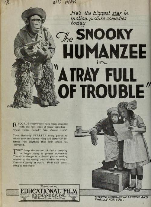 A Tray Full of Trouble 1920 official movie poster