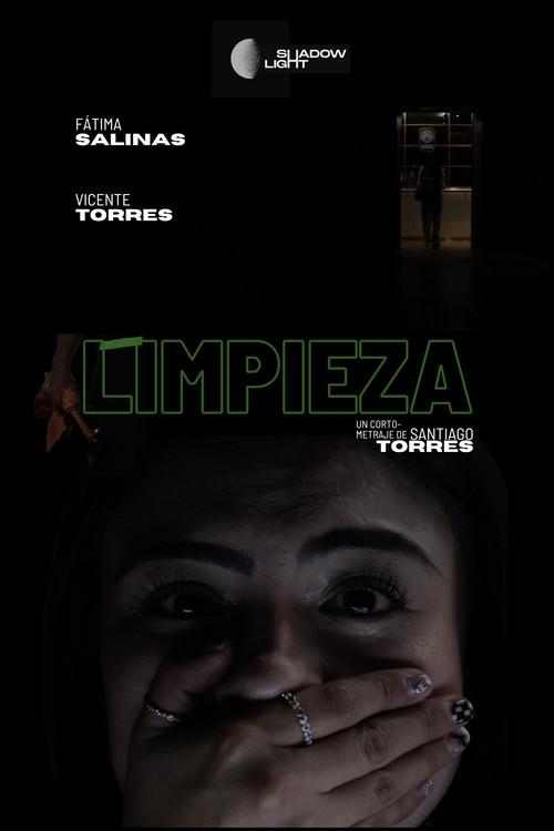 Cleaning 2022 official movie poster