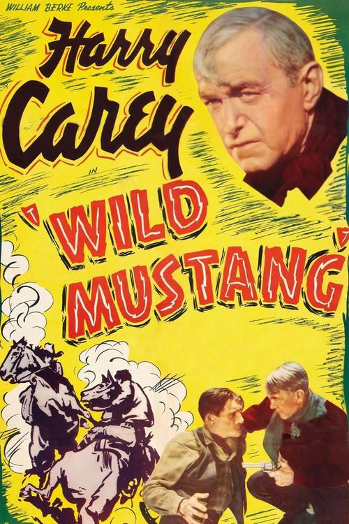 Wild Mustang 1935 official movie poster