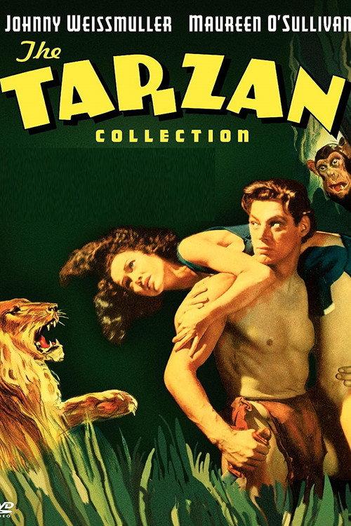 Tarzan: Silver Screen King of the Jungle 2004 official movie poster
