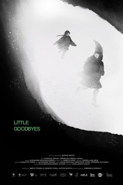 Little Goodbyes 2025 official movie poster