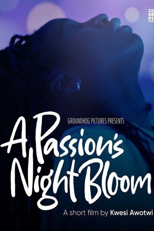A Passion's Night Bloom 2025 official movie poster