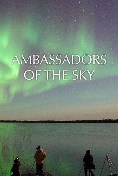 Ambassadors of the Sky 2016 official movie poster