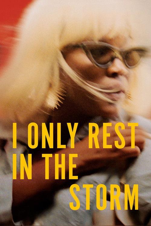 I Only Rest in the Storm 2025 official movie poster