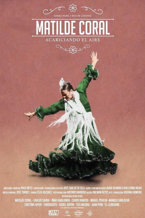 Matilde Coral, acariciando el aire 2016 official movie poster